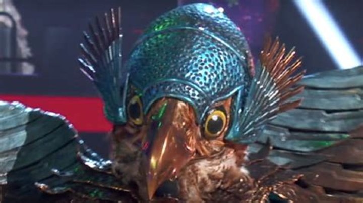 The Masked Singer’s Hawk unmasked: Heartthrob actor says he was ‘a little bit hurt’ by reveal