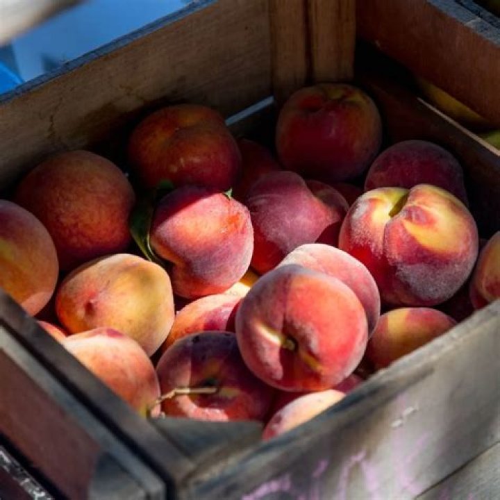 The Meaning Of Peaches In ‘Call Me By Your Name’ Will Change How You Look At The Fruit Forever