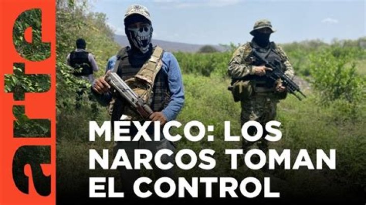 The Narco Juniors From 'Narcos