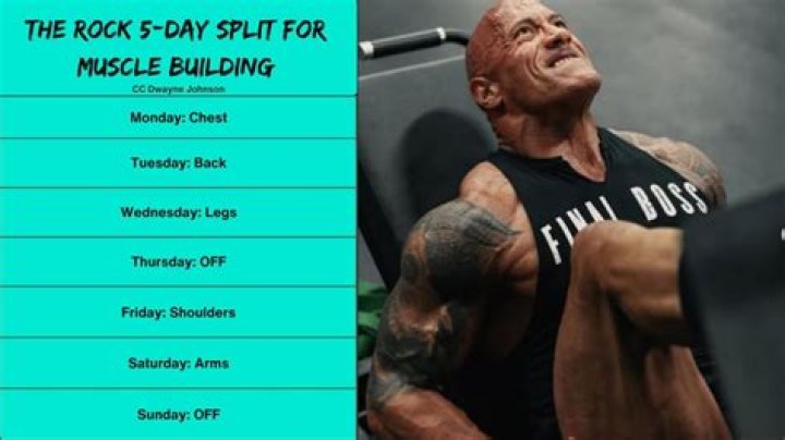 The Rock’s Diet And Exercise Chart for a Stellar Physique