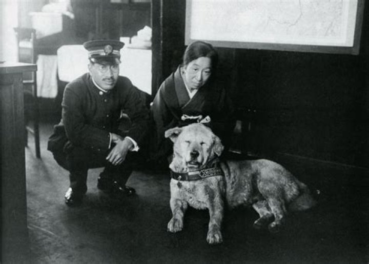 The Story of Hachiko: Japan’s Favorite Dog