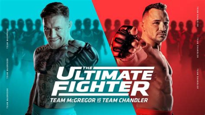 The Ultimate Fighter Season 31 Episode 12: Release Date, Spoilers & Streaming Guide
