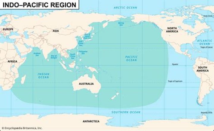 The US is welcomed in the Indo-Pacific region and should do more, ambassador to Japan says