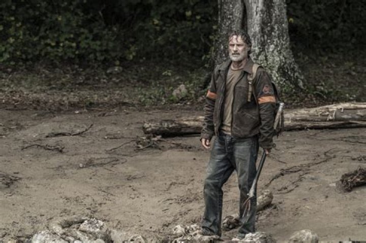 The Walking Dead: Michonne's CRM Classification Explained