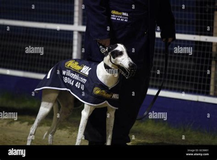 The Wimbledon Greyhound Stadium will see its last night of action on Saturday, ending the dog track's 89-year history
