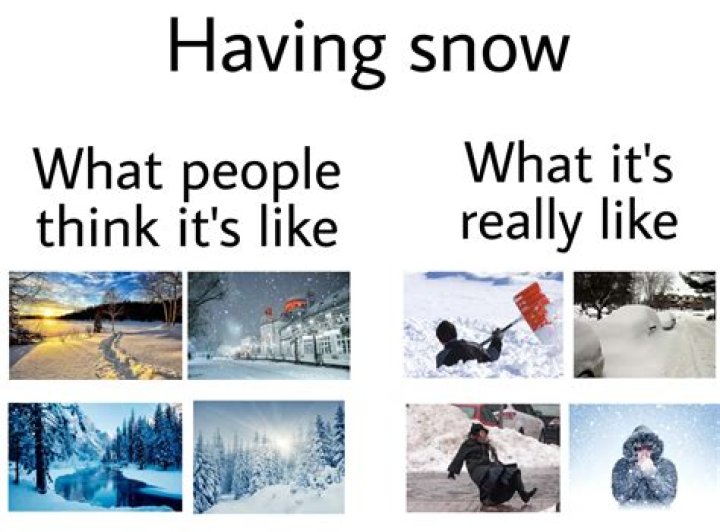 These 21 Winter Storm Stella Memes Are Just Snow Funny
