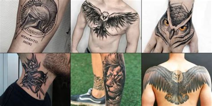 These daring celebs all got tattoos later in life – can you guess the stars from their surprising inkings? – The Sun