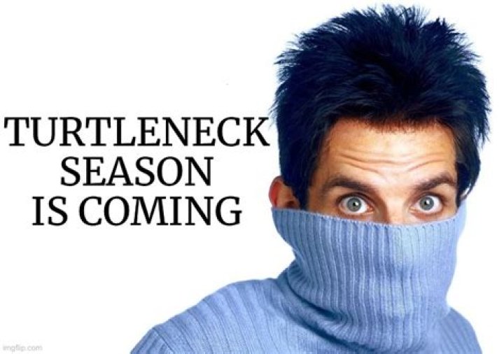 These Nick Viall Turtleneck Memes Focus On 'The Bachelor's Newest Star