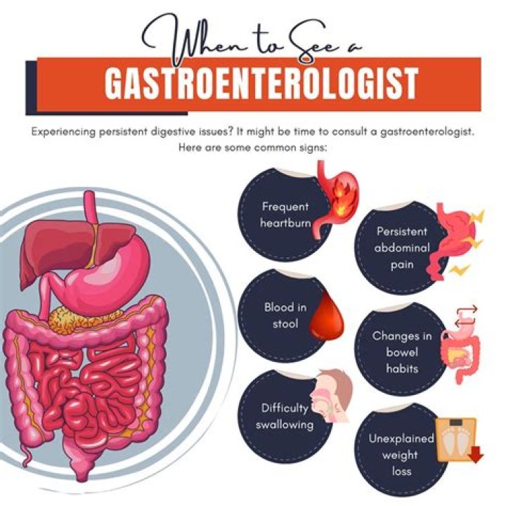 Things to Expect When Seeing a Gastroenterologist