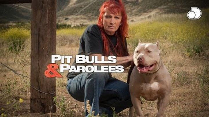 This is What Happened to Moe on Pitbulls and Parolees