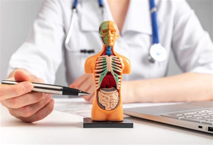 Thomas Lineberger Obituary – Death: Famous Internal Medicine Specialist, Thomas Lineberger is Dead