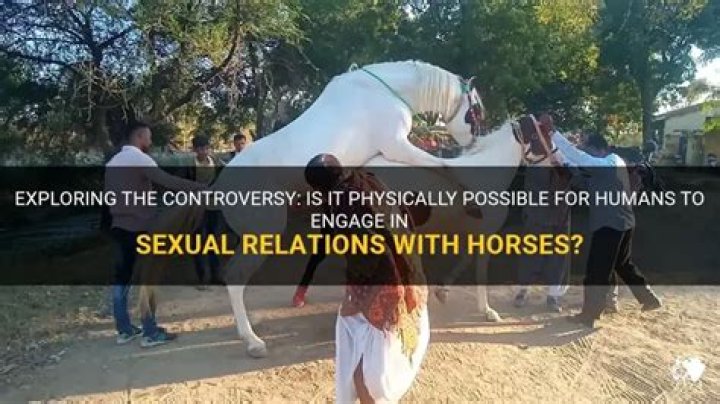 Three men arrested over ‘bestiality ring’ in the UK as police probe snaps of humans having sex with horses – The Sun