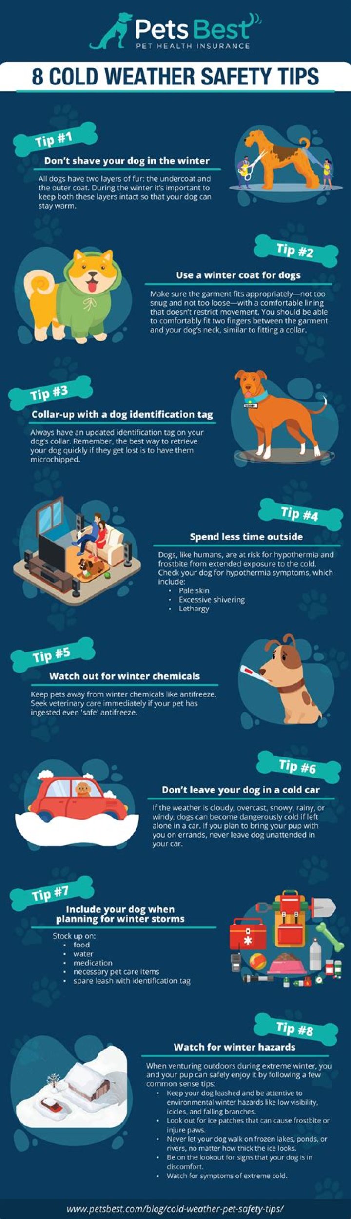 Tips to keep your pets safe and healthy in the cold