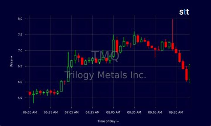 
TMQ
Trilogy Metals Inc Compare
