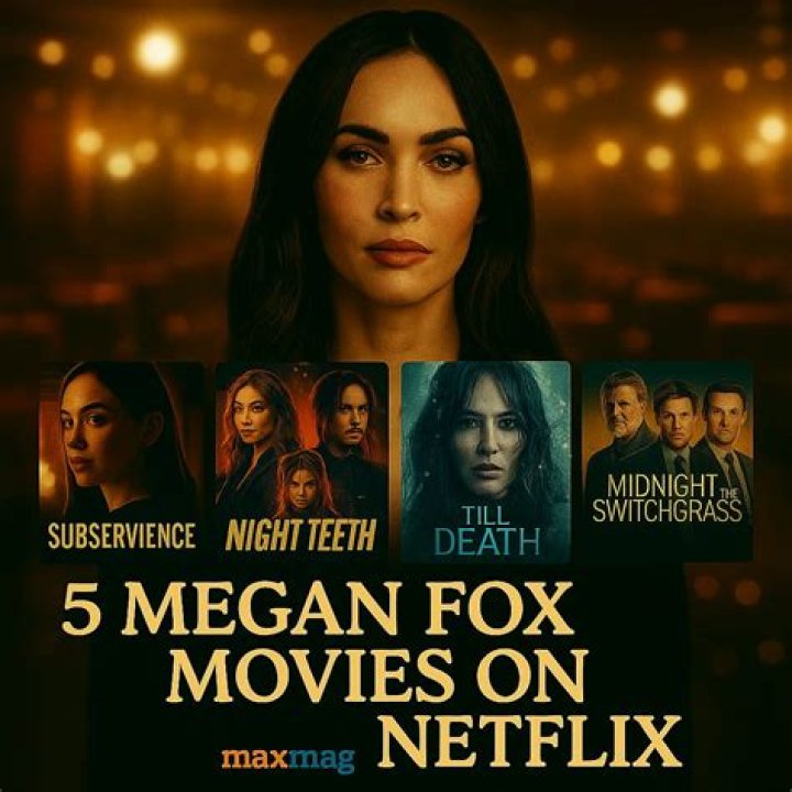 Top 10 Megan Fox Movies On Netflix