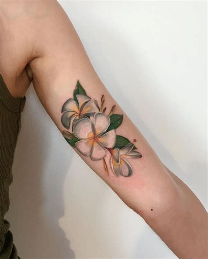 Top 70+ Best Plumeria Tattoo Ideas – [2022 Inspiration Guide]