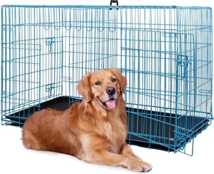 Top-Reviewed Walmart Dog Crates Your Pup Will Love