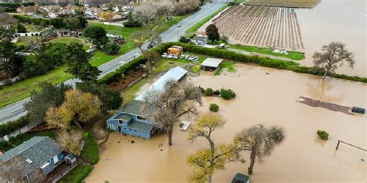Tornadoes, avalanches and maple syrup