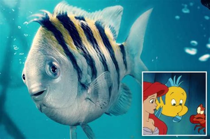 Twitter Thinks Flounder Looks Unrecognizable In The New 'Little Mermaid' Movie