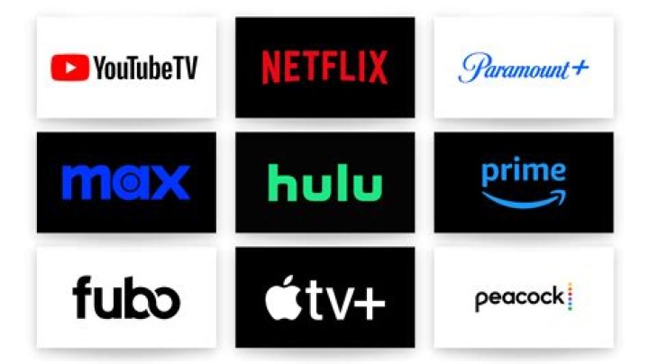 Varisu OTT release date and home media streaming platform confirmed