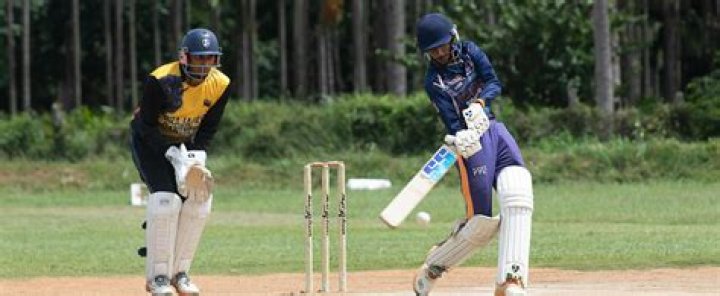 Vijay Shankar cricketer, batting, IPL, wife, family, age