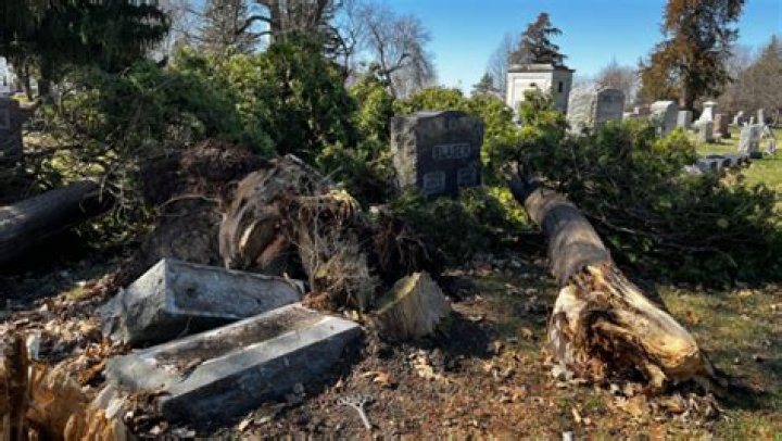 Volunteers sought for Chippiannock Cemetery cleanup