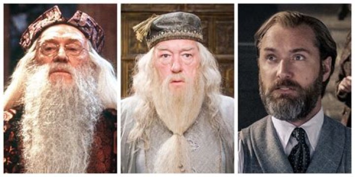 Was Michael Gambon Gay? What Was the Sexuality of Our Beloved Dumbledore?