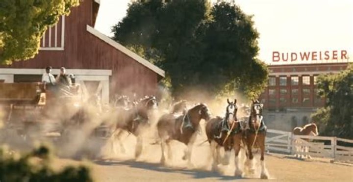 Was there Budweiser Super Bowl 2023 commercial with Clydesdale horses?