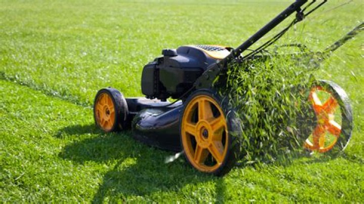We’re gardening experts, there's a time you should stop cutting your grass ahead of winter & there's not long to wait