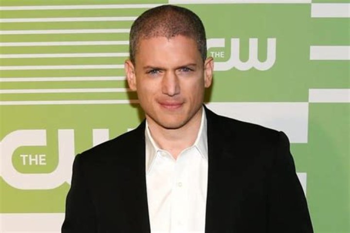 Wentworth Miller Wiki, boyfriend, gay, net worth, family, ethnicity