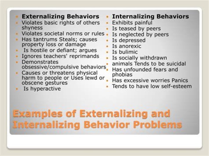 What are externalizing and internalizing behaviors