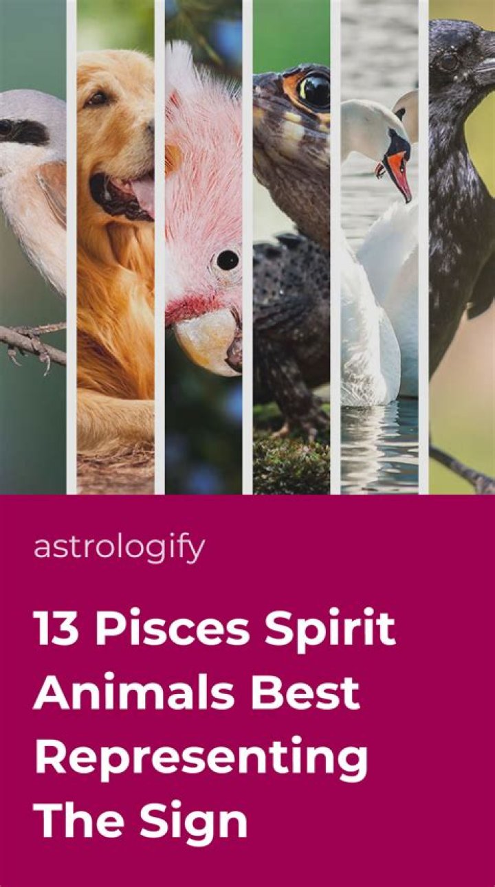 What Are The Pisces Spirit Animals? The 4 Guides Explained