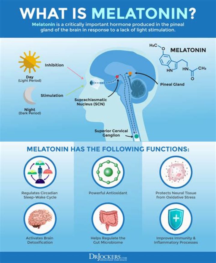 What cells produce melatonin