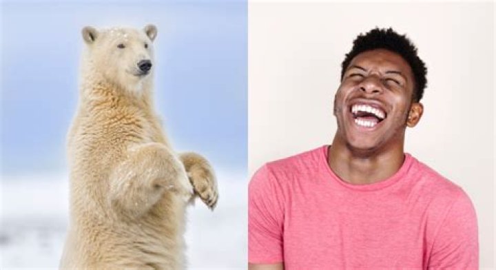 What do you call a dead polar bear? Ghostbusters joke takes over social media