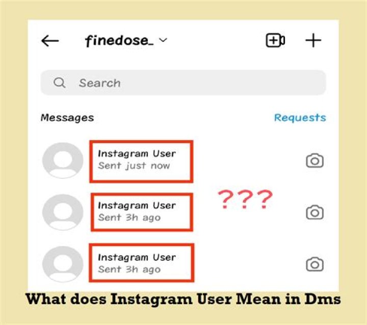 What Does “Instagram User” Mean In DMs?