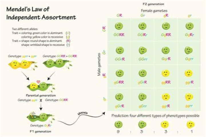 What Happened To Llaw: A Comprehensive Overview