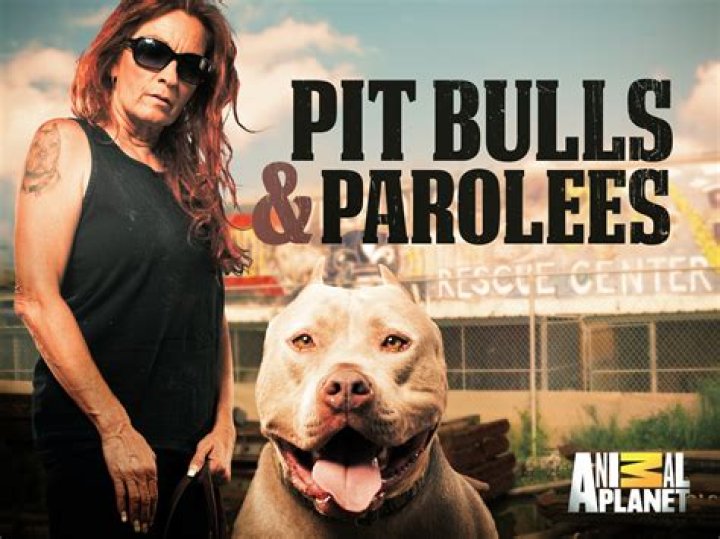 What Happened to Marcel on Pitbulls and Parolees?