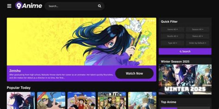 What happened to the anime streaming service?