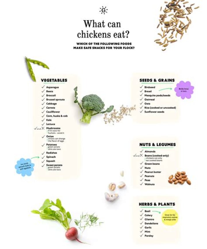 What herbs will chickens not eat?