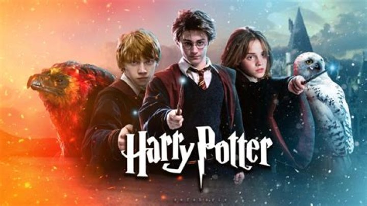 What I Learned Reading Harry Potter For The First Time As An Adult In The Era Of Donald Trump