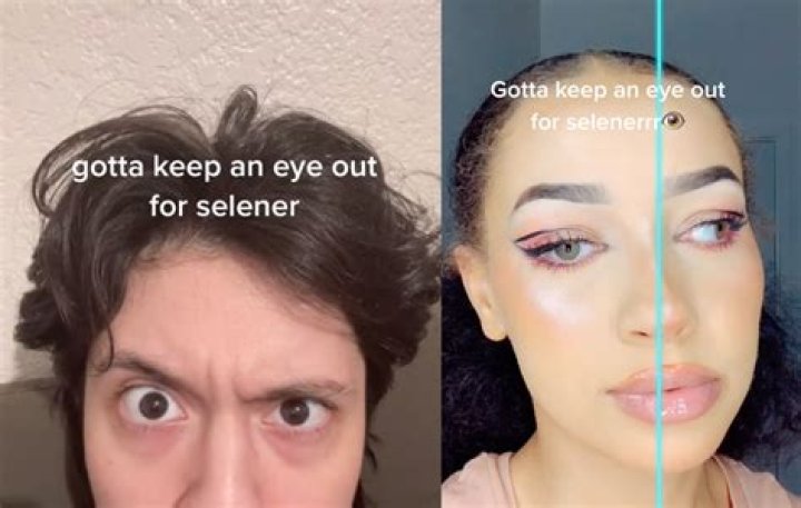 What is the meaning of Selener on TikTok?