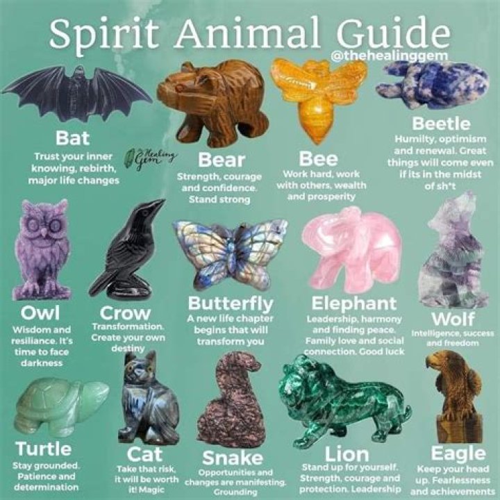 What Is Your Spirit Animal? The Ultimate Beginners Guide