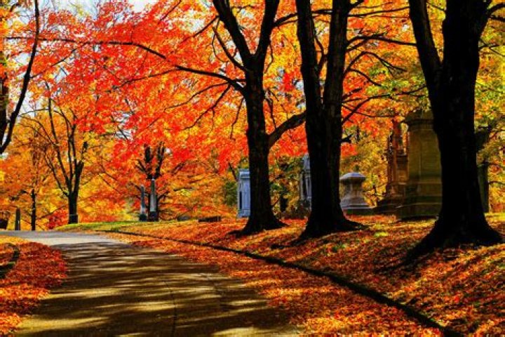 What month is best for fall pictures?