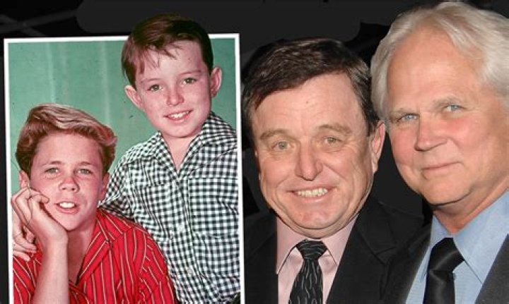 What’s become of Christopher Dow? The Son Of Tony Dow And His Family Explored