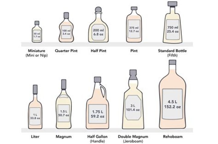 What size is a regular bottle of Patron?