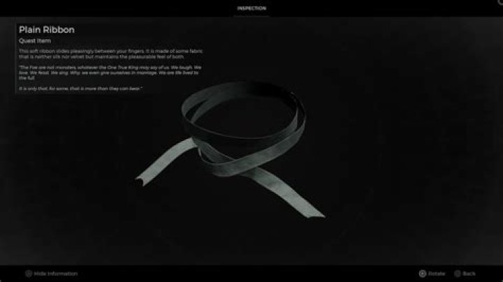What to do with the Plain Ribbon in Remnant 2