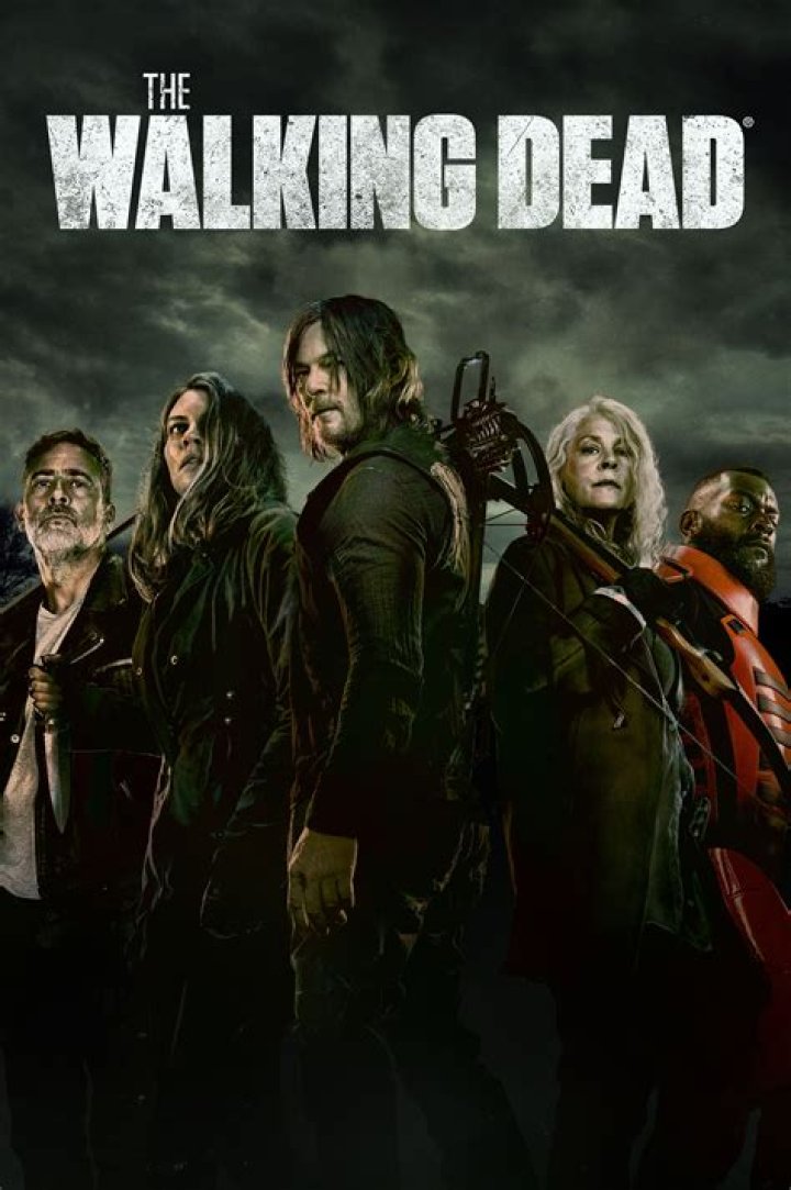 When will The Walking Dead Season 11 Release on Netflix?