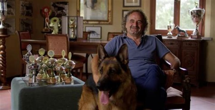 Where is Alarico Sgroi Now? Does He Still Breed Dogs?