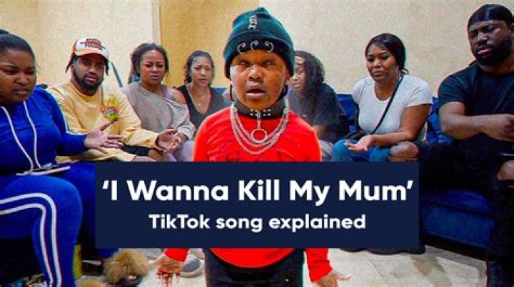 Where the viral 'I wanna kill my mum' TikTok sound comes from