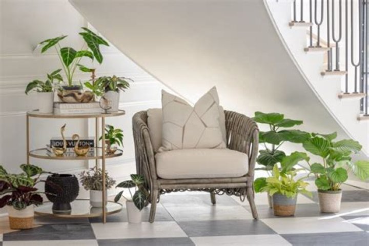 Where To Buy Edn WallGarden From 'Shark Tank' So You Can Easily Green Up Your Home